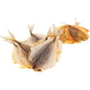 Ostrobok suszony snack pak. 1kg